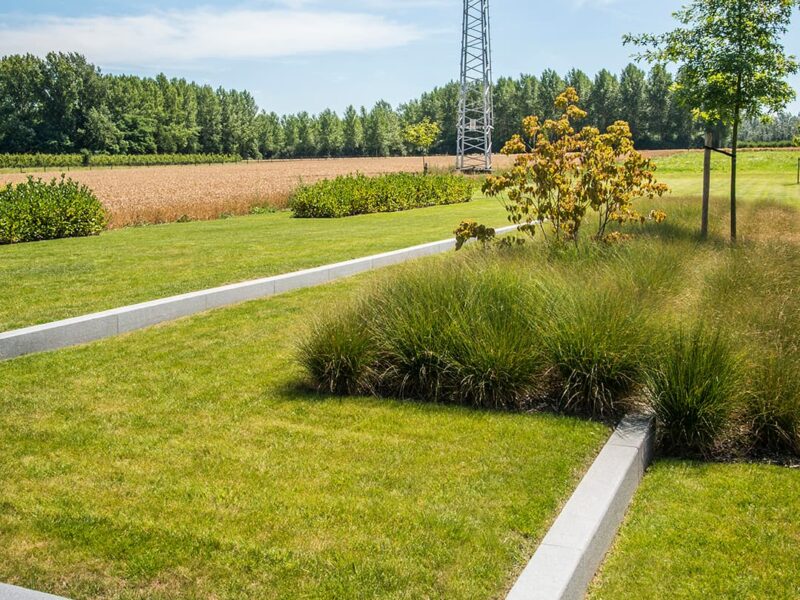 Achterkant tuin